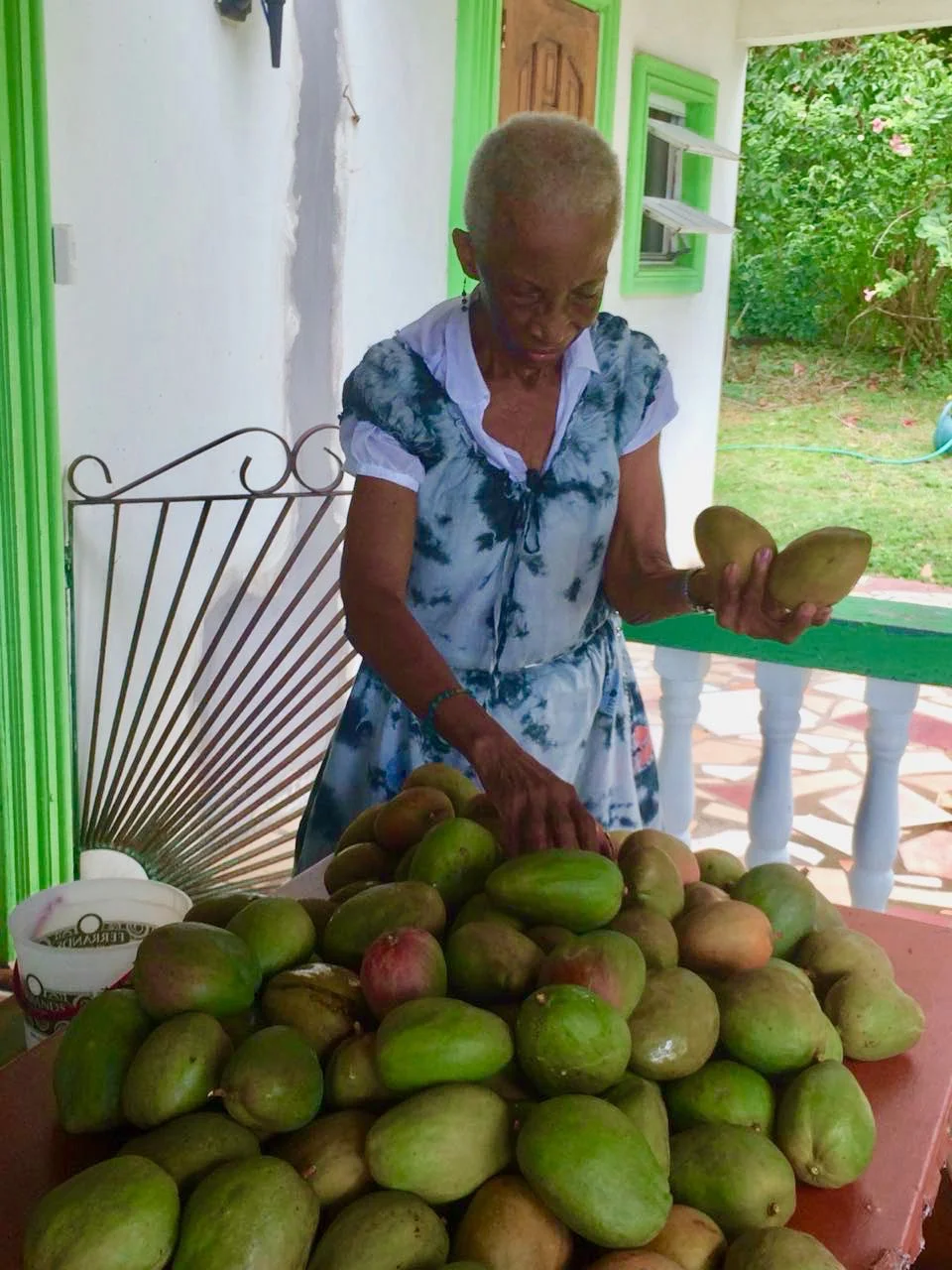 MANGO HARVESTING.jpg