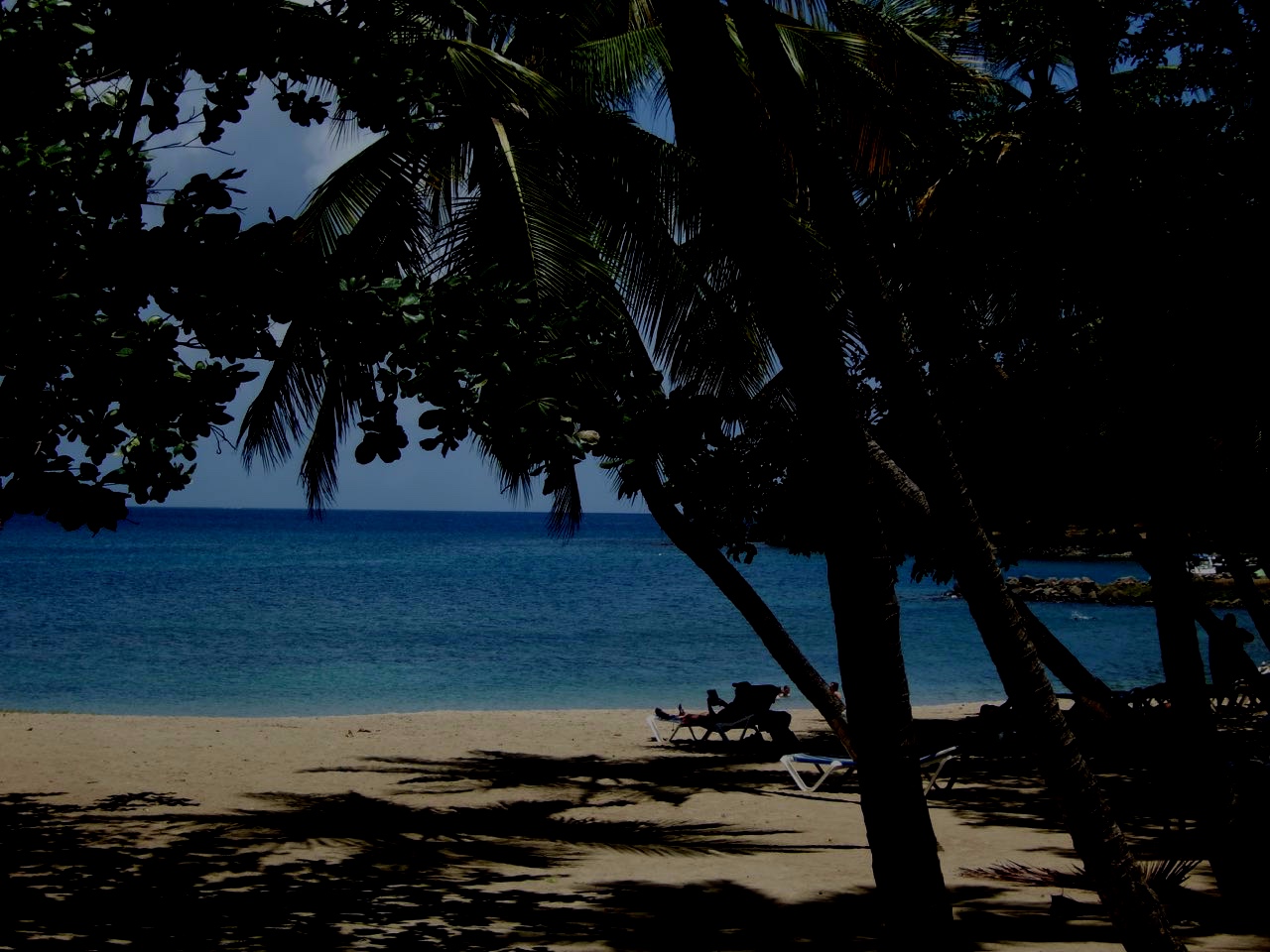 DSCF9296.jpg