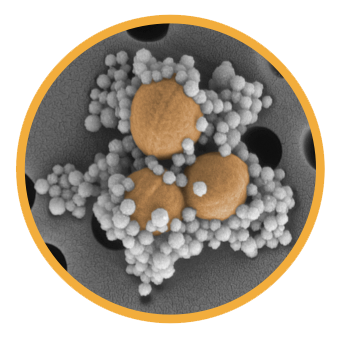 Blood Diagnostic Robot Software
