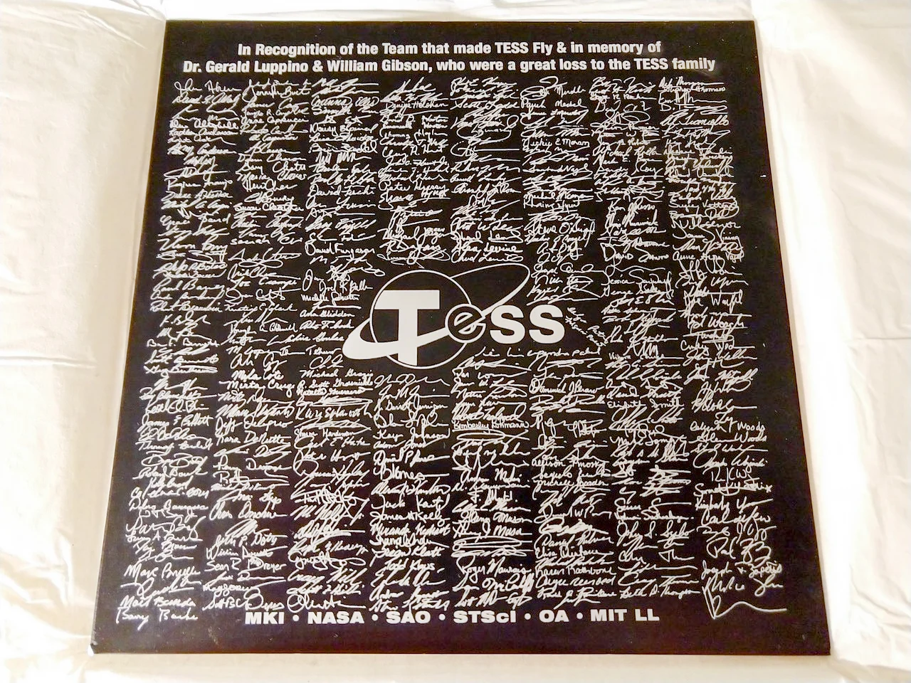 Plaque on Tissue.jpg