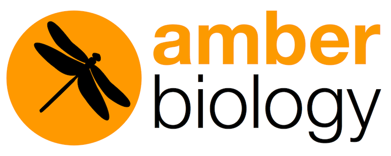 Amber Biology