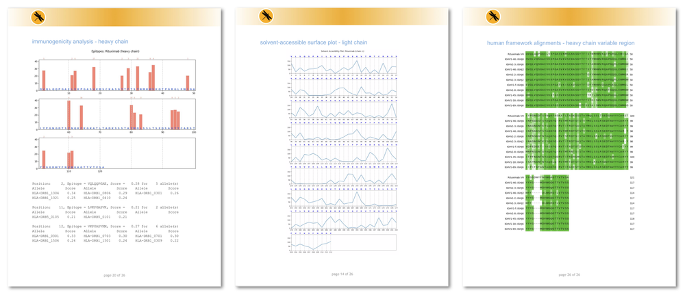 Amber Biology rolls out its new antibody analysis service — Amber Biology