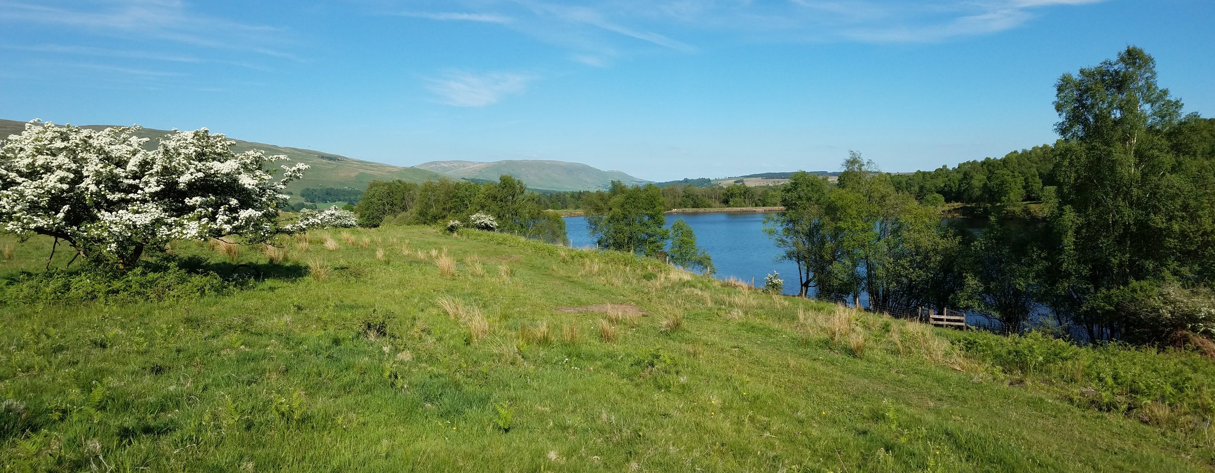 The beauty never quits...Mugdock Country Park, Milngavie, United Kingdom