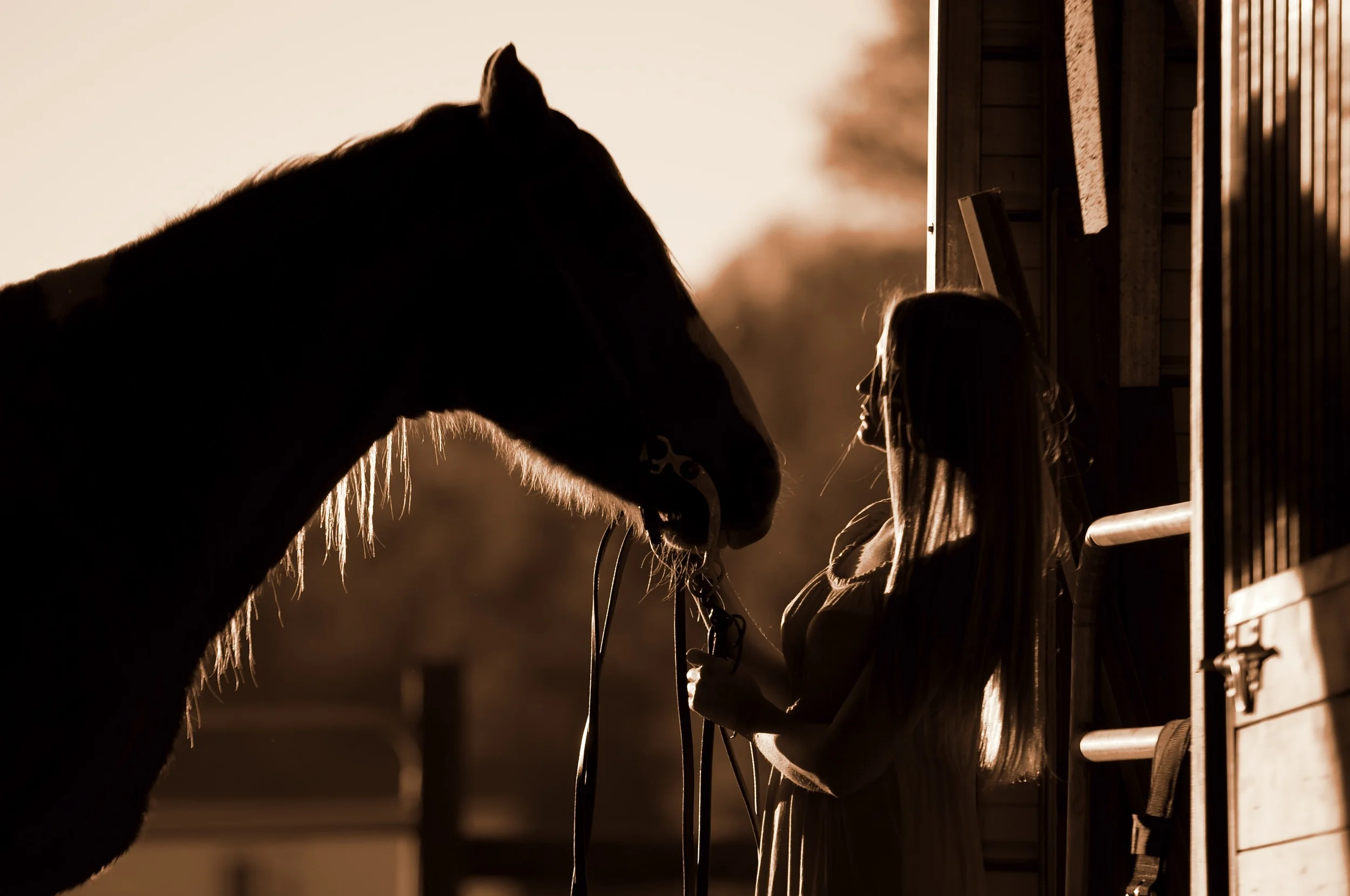 _DSC0374 - Version 2.jpg