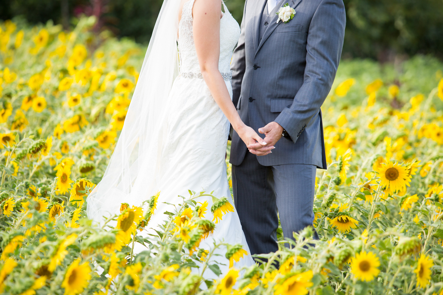 Alowyn-gardens-wedding-photo-37.jpg