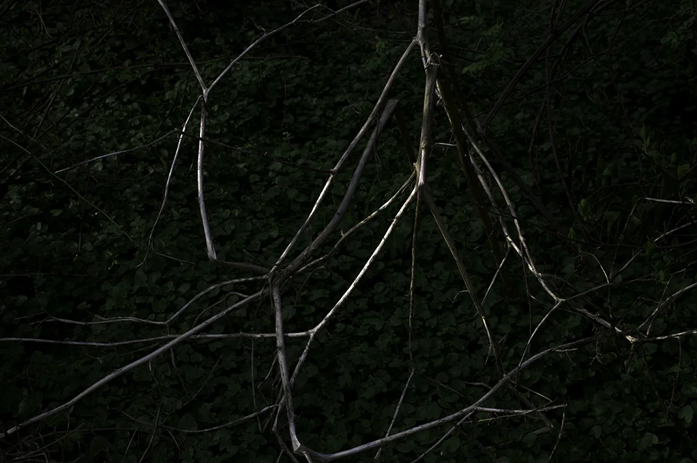 Two Stick A, 2006