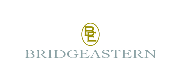 Bridgeastern  | Capital, Investment & Strategy Advisory