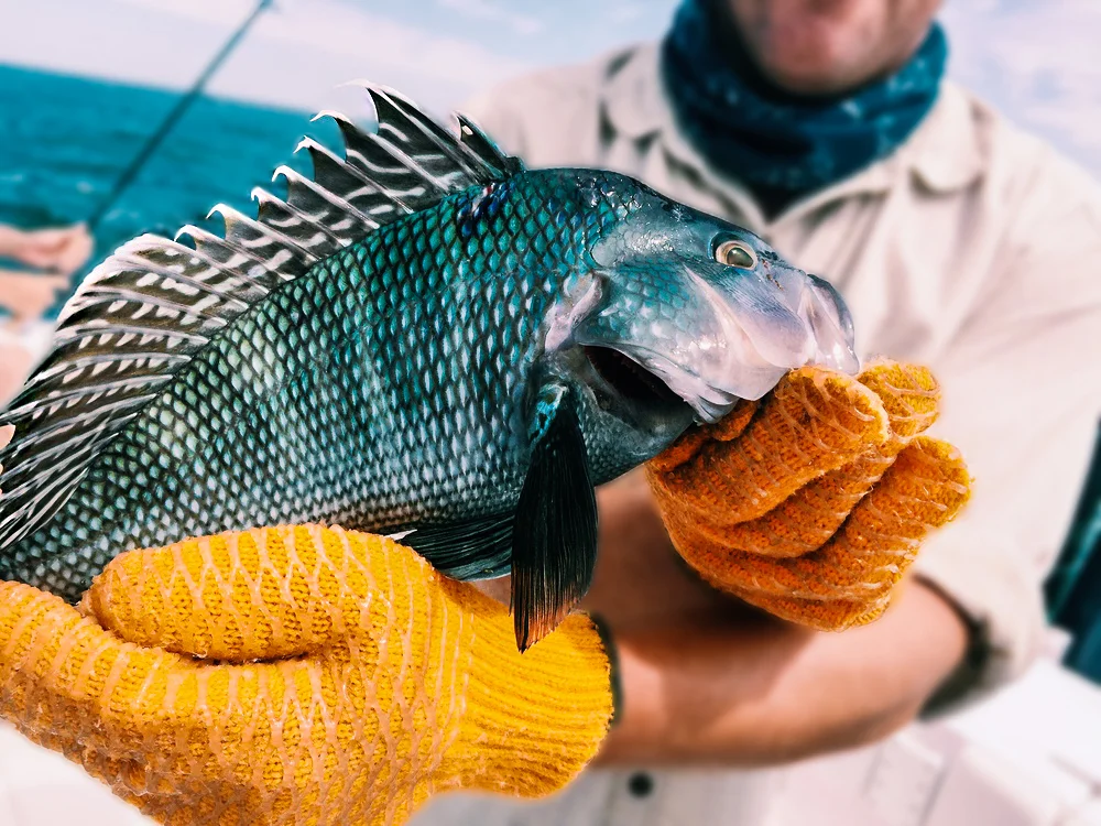 Fishing Boat- Oak Bluffs 