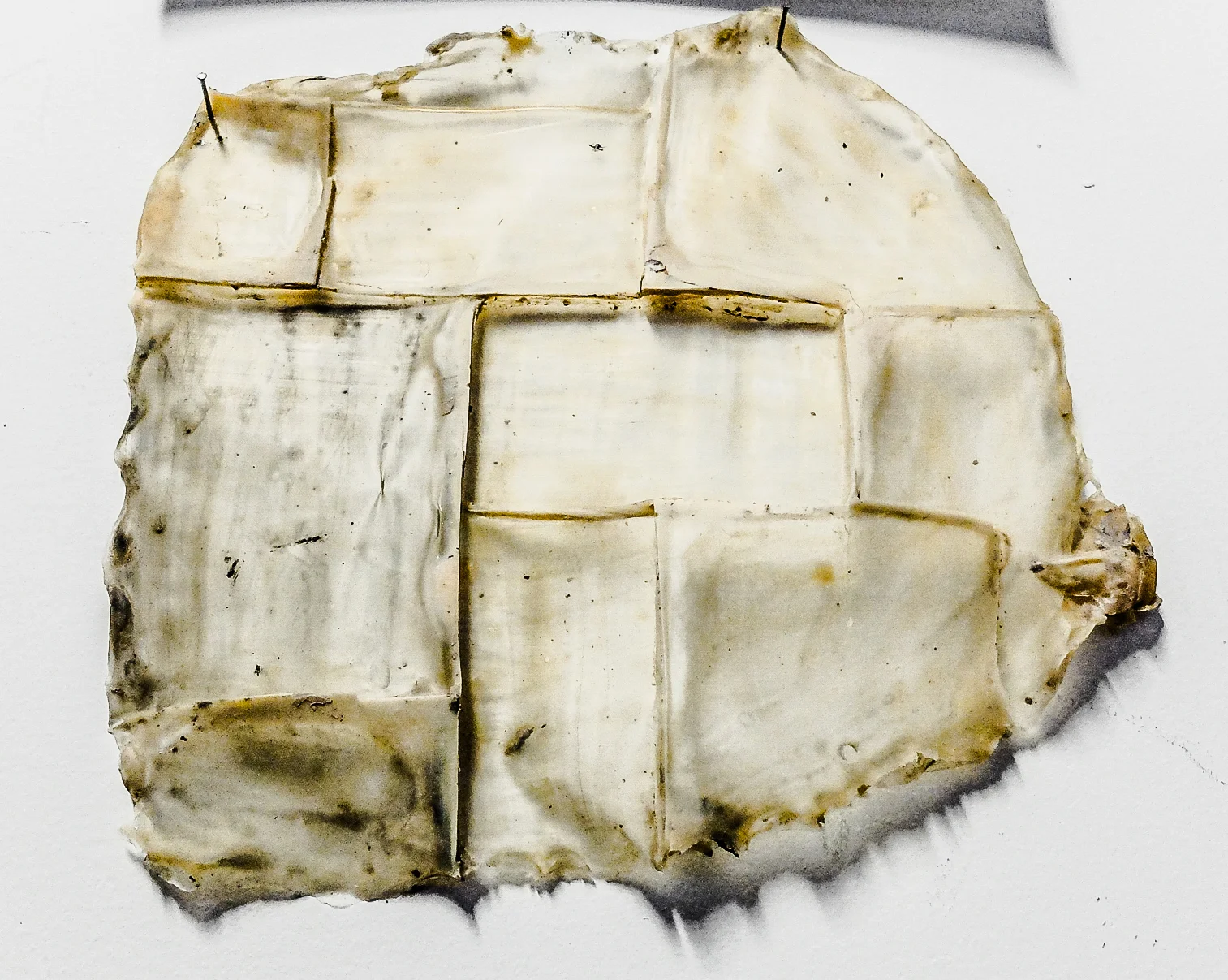 DSCF6121.jpg