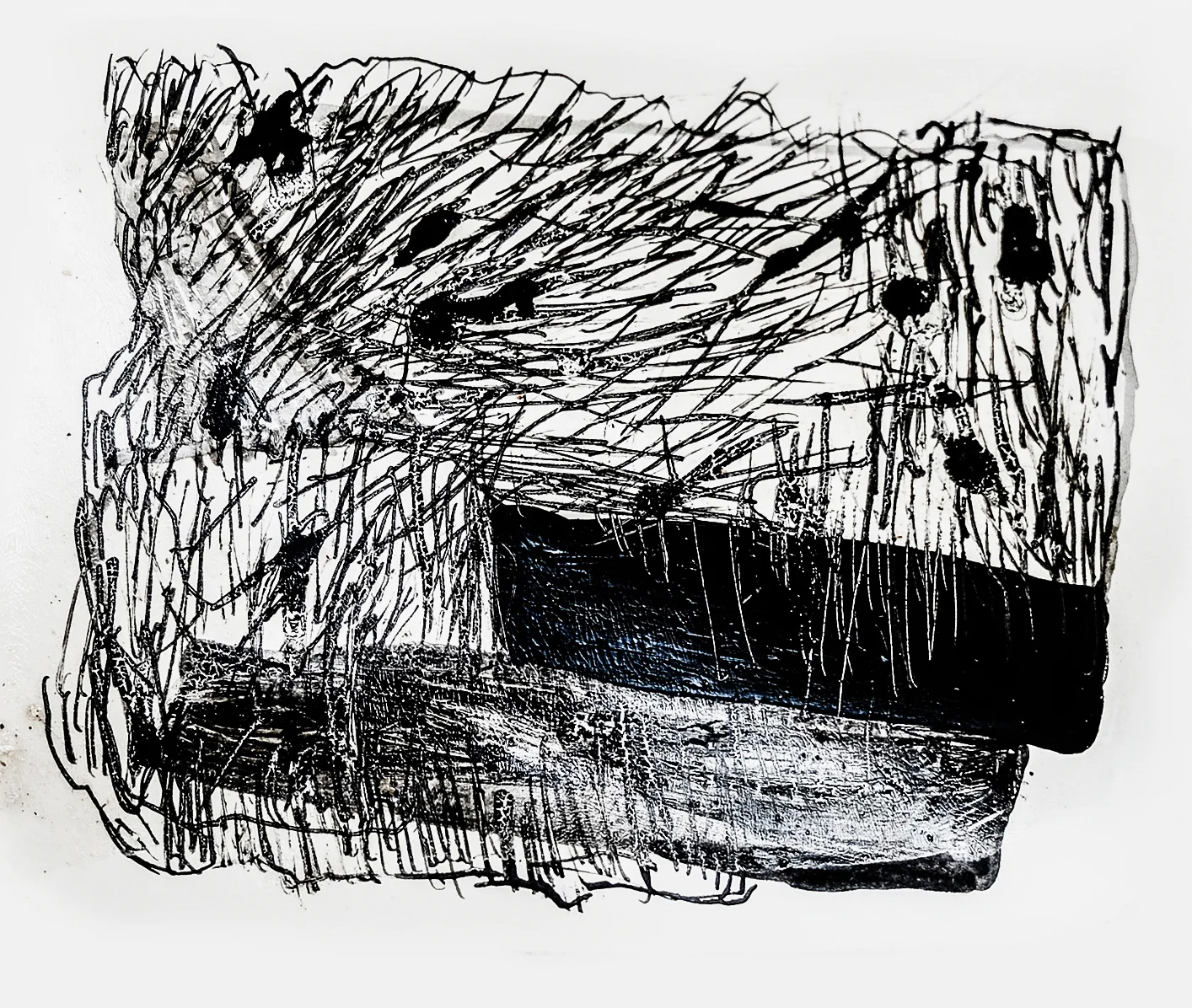 DSCF6581.jpg
