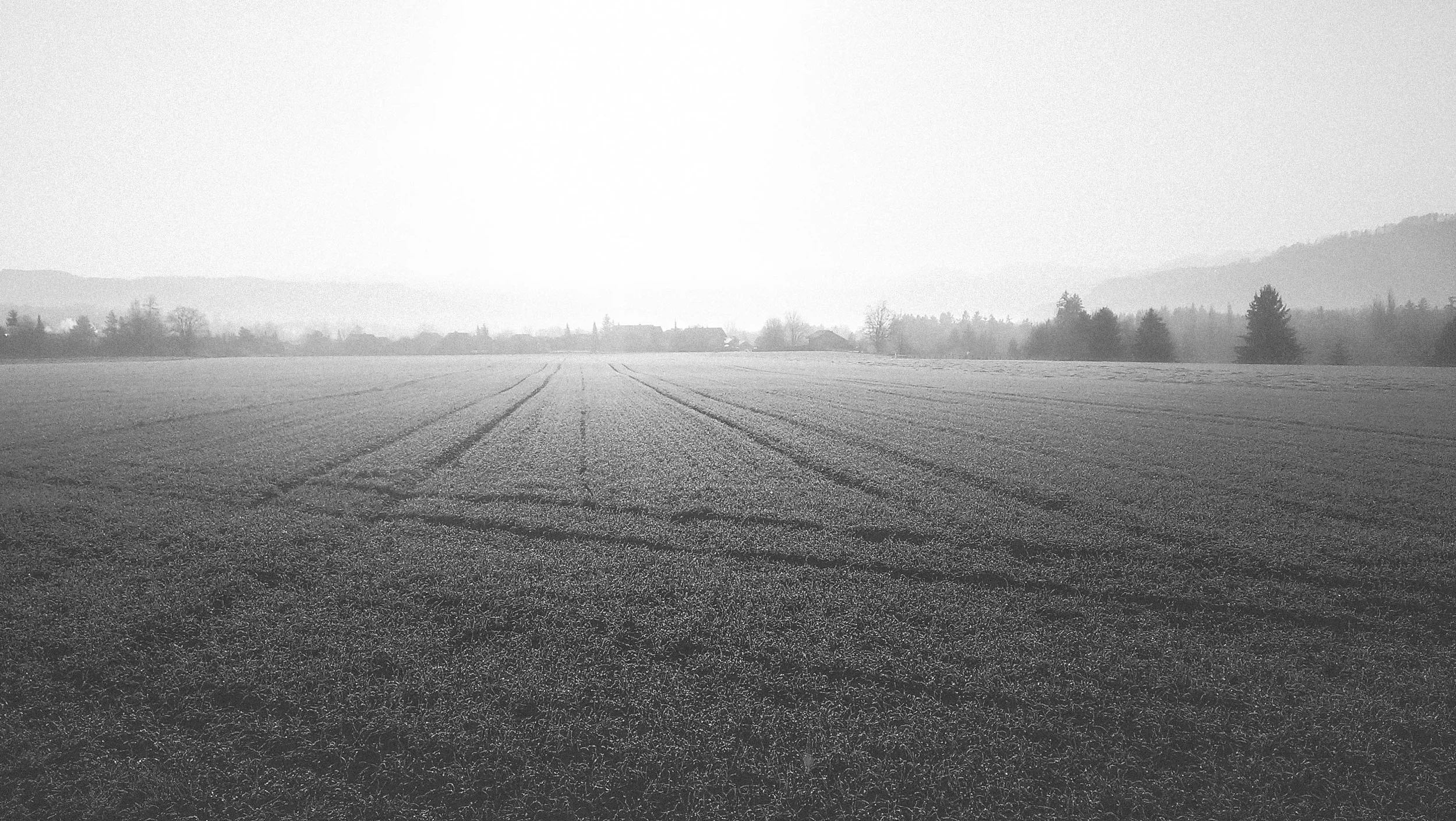 2015-12-14 10.07.17.jpg