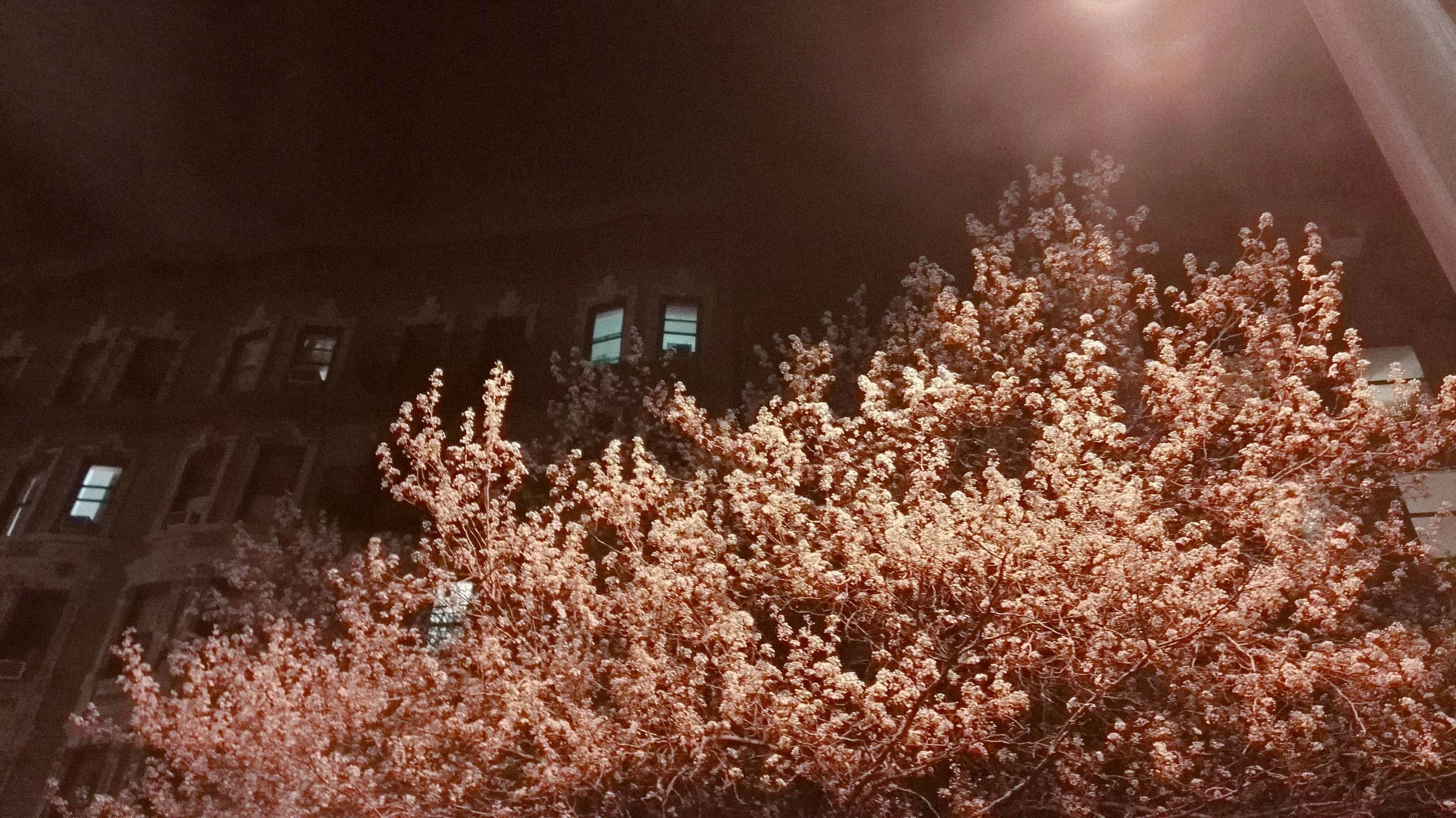 2016-03-26 23.16.22.jpg