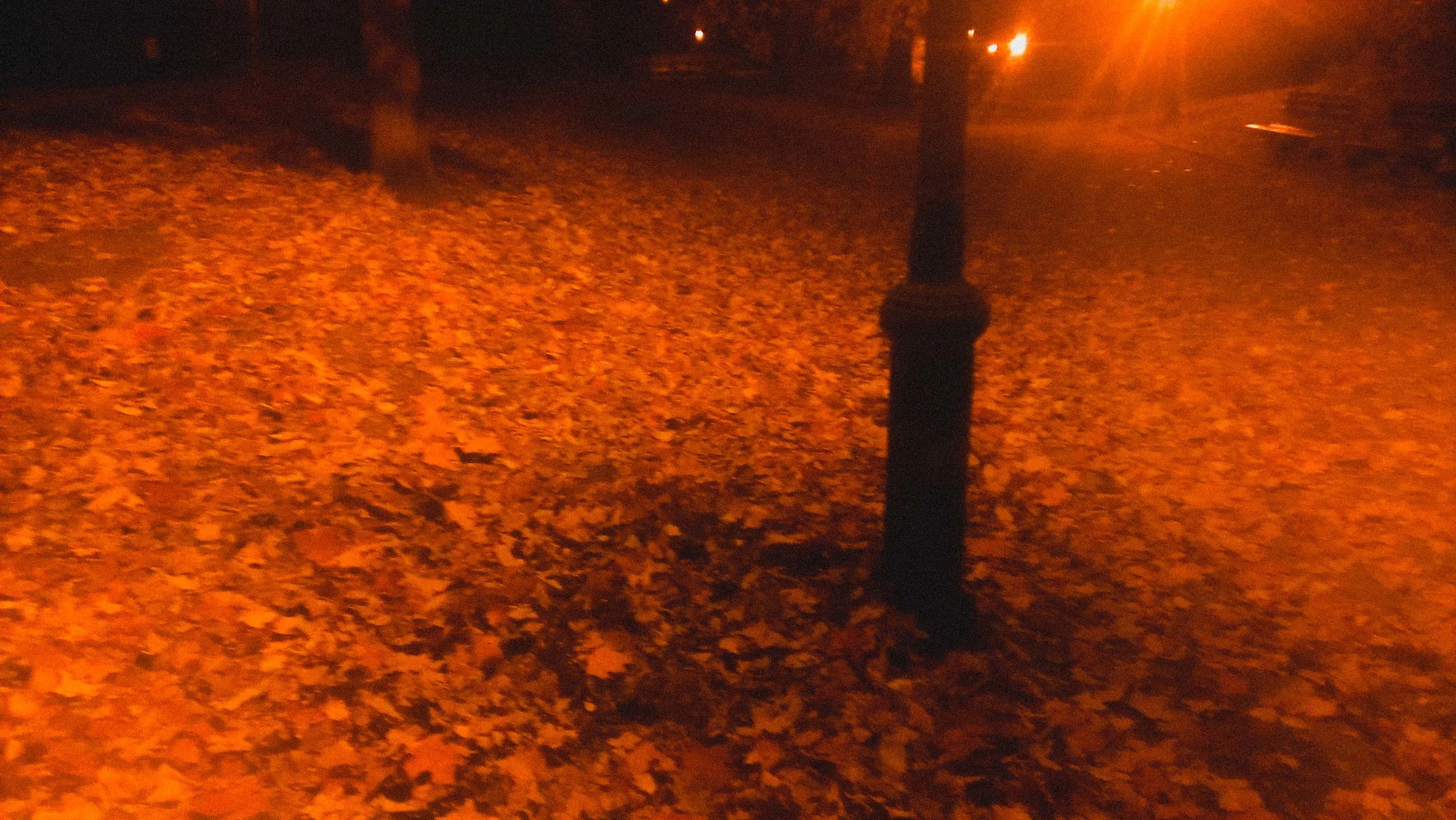 2015-11-01 17.51.48.jpg
