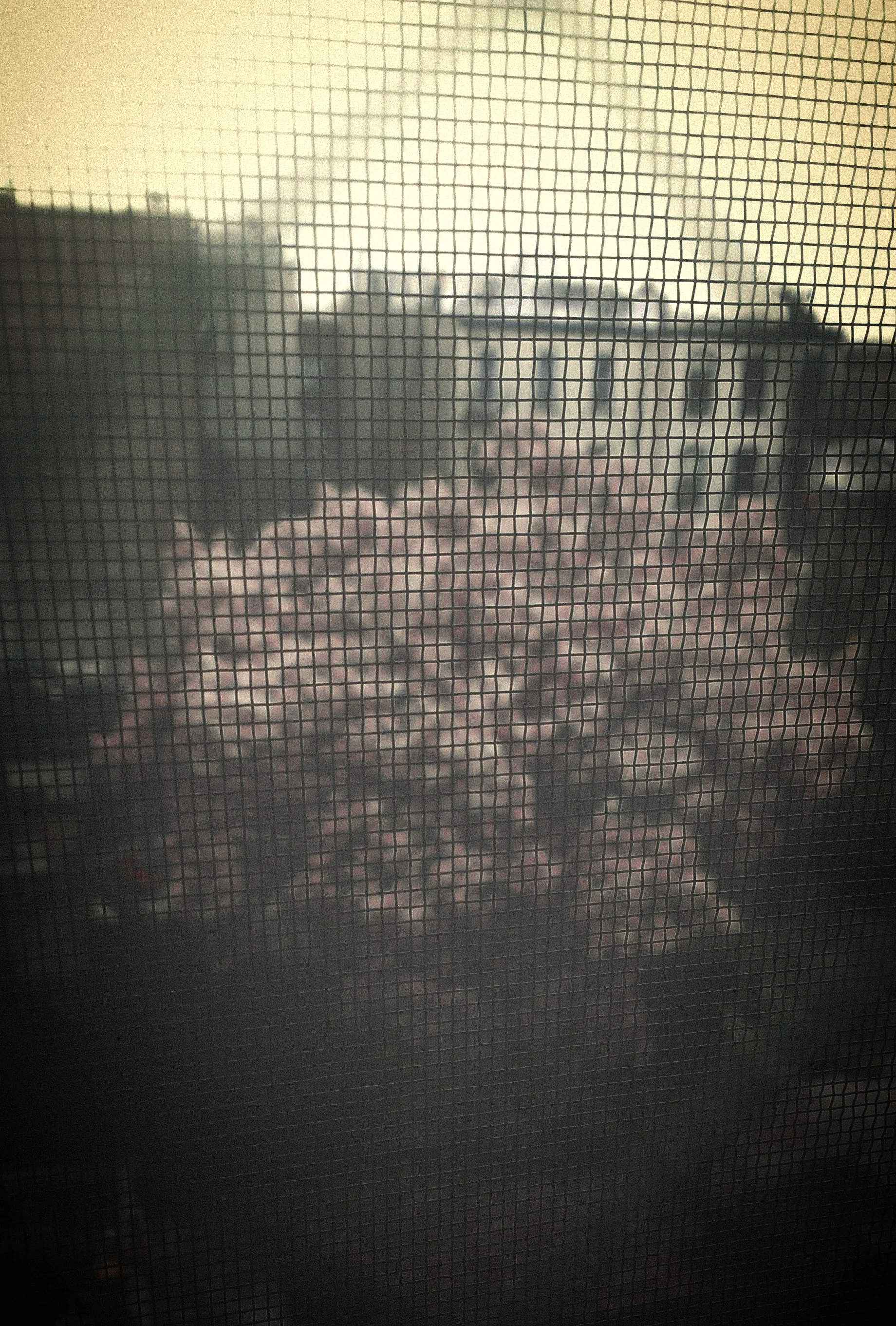 2015-04-19 19.17.25.jpg