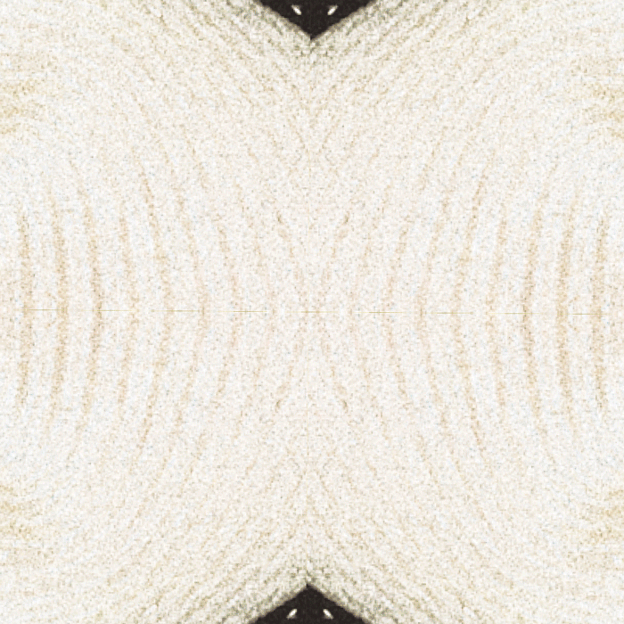 BERENIK-AW17-ANIMATION-NOLOGO.gif