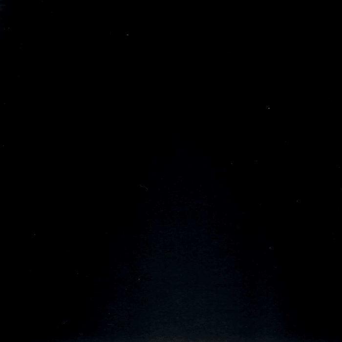 BERENIKANIMATION---201802-05-000.gif