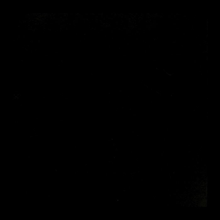 BERENIKanimationVERONIKA-BRUSA0000.gif