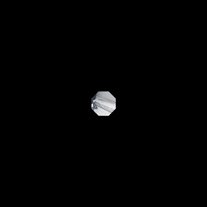 BERENIK-veronika-brusa-ANIMATION-2018-05-15.gif