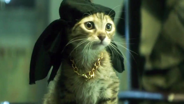 Keanu is the true star of the movie.