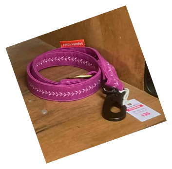 extension lead 1 SW.jpg