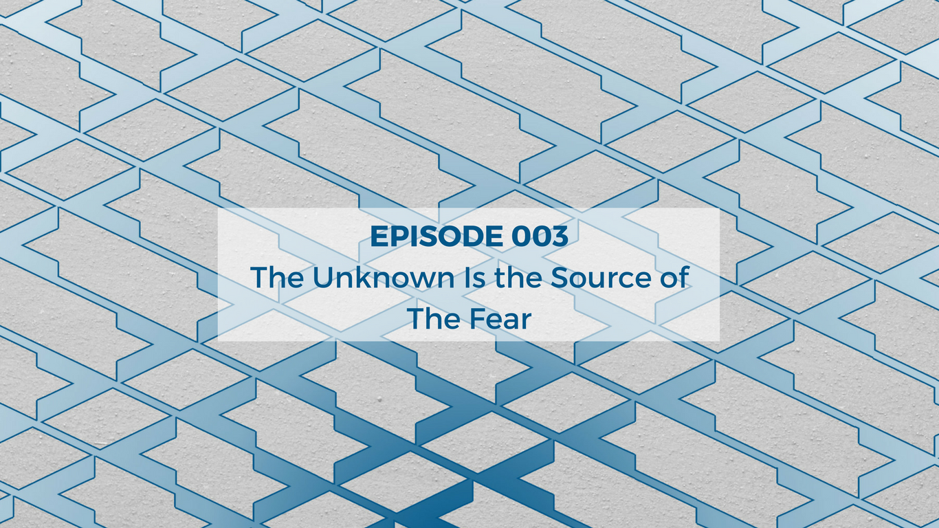 Episode 003 - The Unknown Is the Source of The Fear episode artwork