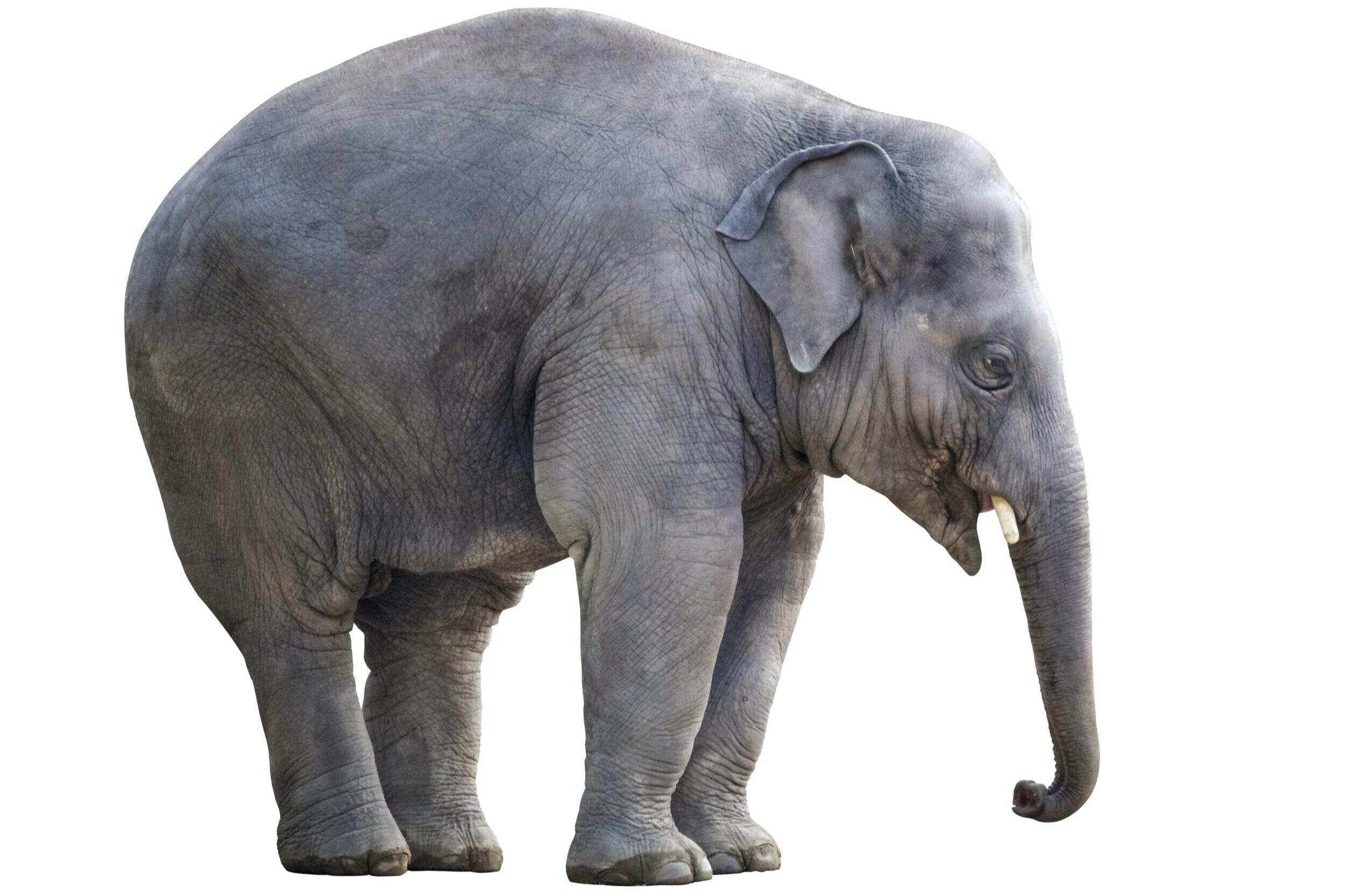 What Are You Waiting For?