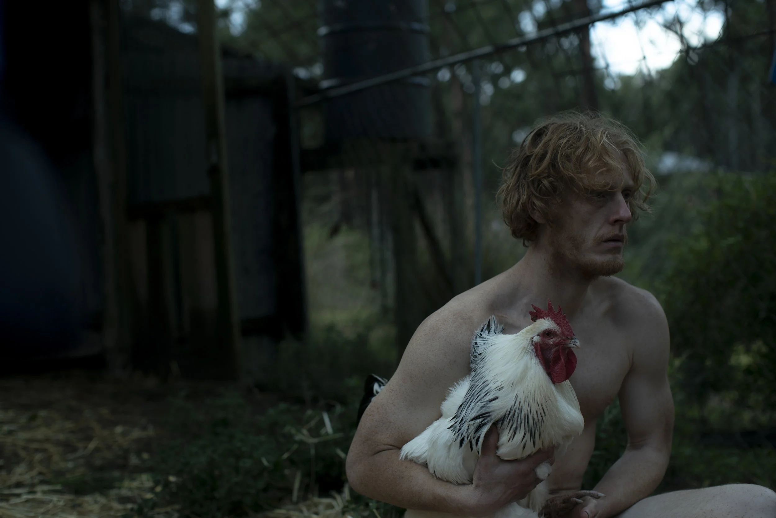 Rhys_Mitchell_(Steve)_in_THE_ROOSTER_0478_photo_credit_Sarah_Enticknap.JPG