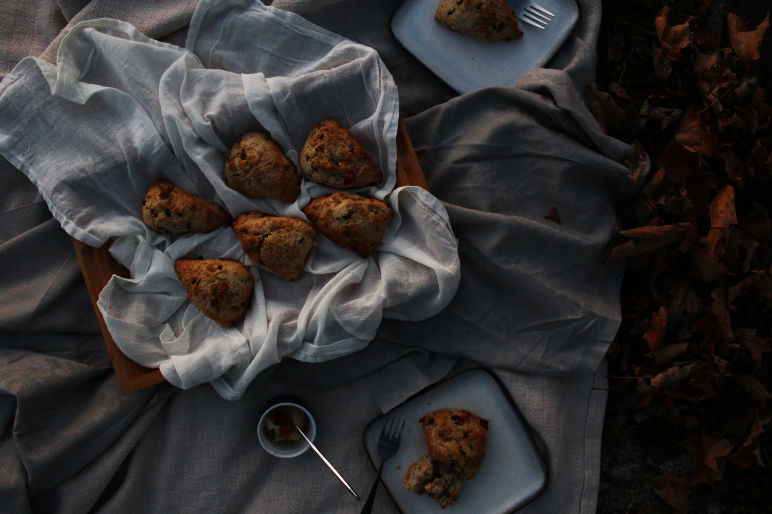 CHILLING WIND & SWEET SCONES
