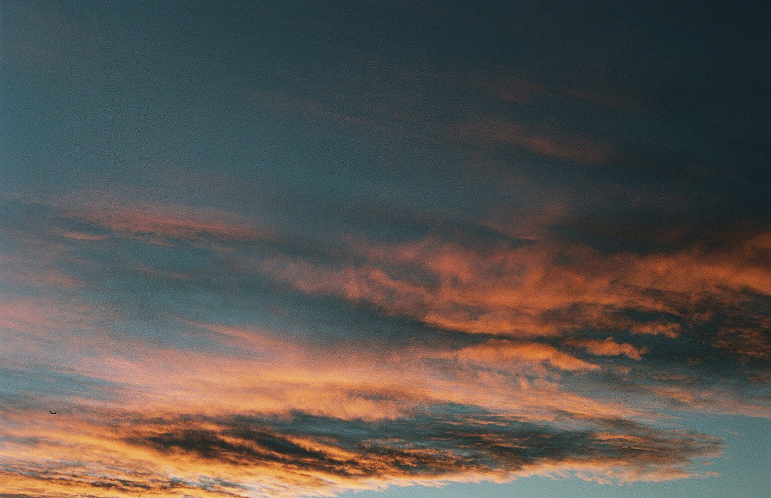 13_.jpg