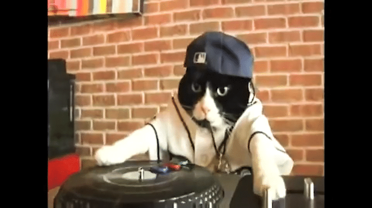 Rays Change the Game _60-high.gif