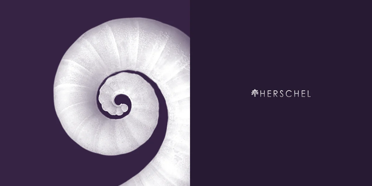 herschel-brand-logo-design-galle.jpg