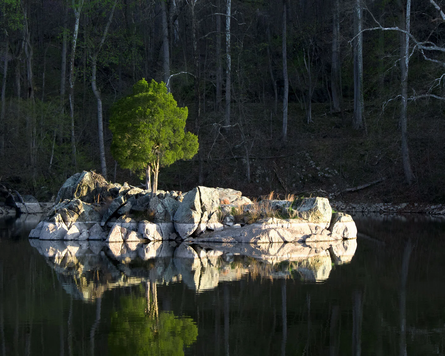 _IMG0846-Edit.jpg