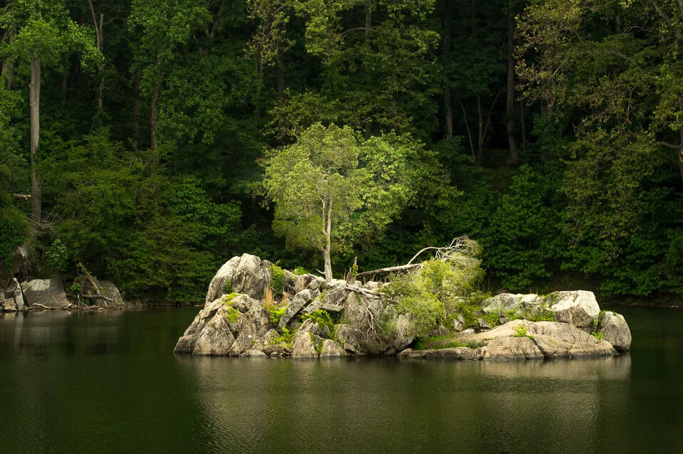 C and O Canal II-3.jpg