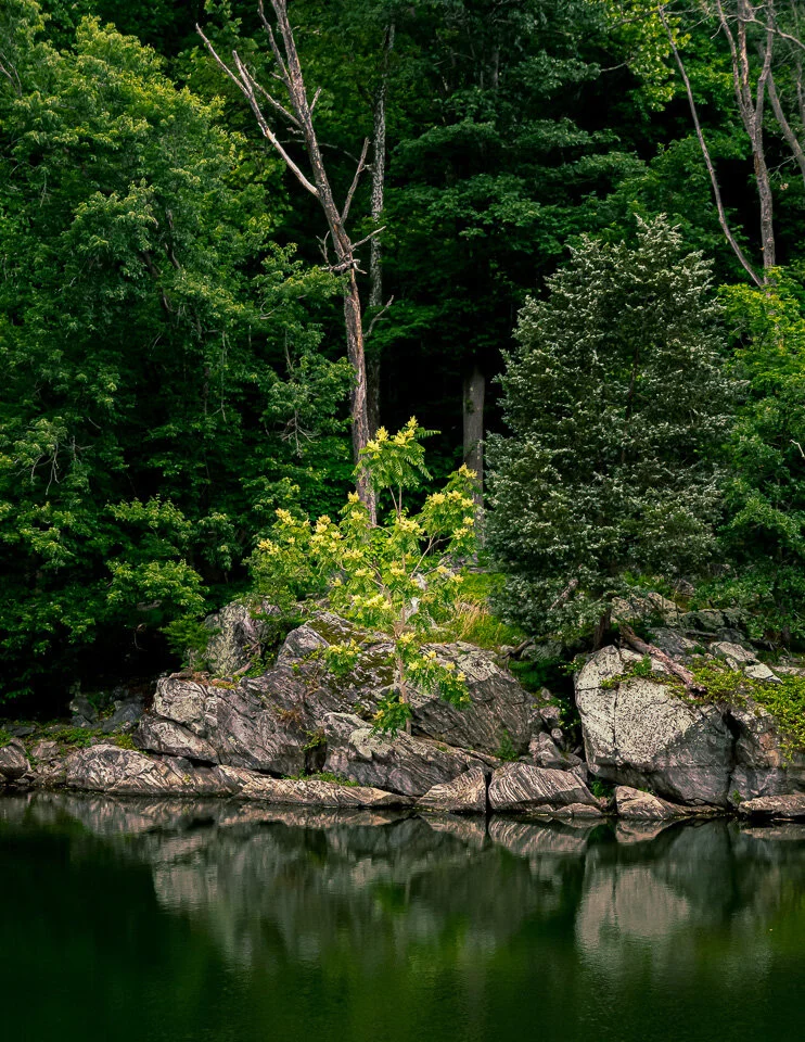 C and O Canal II-5.jpg