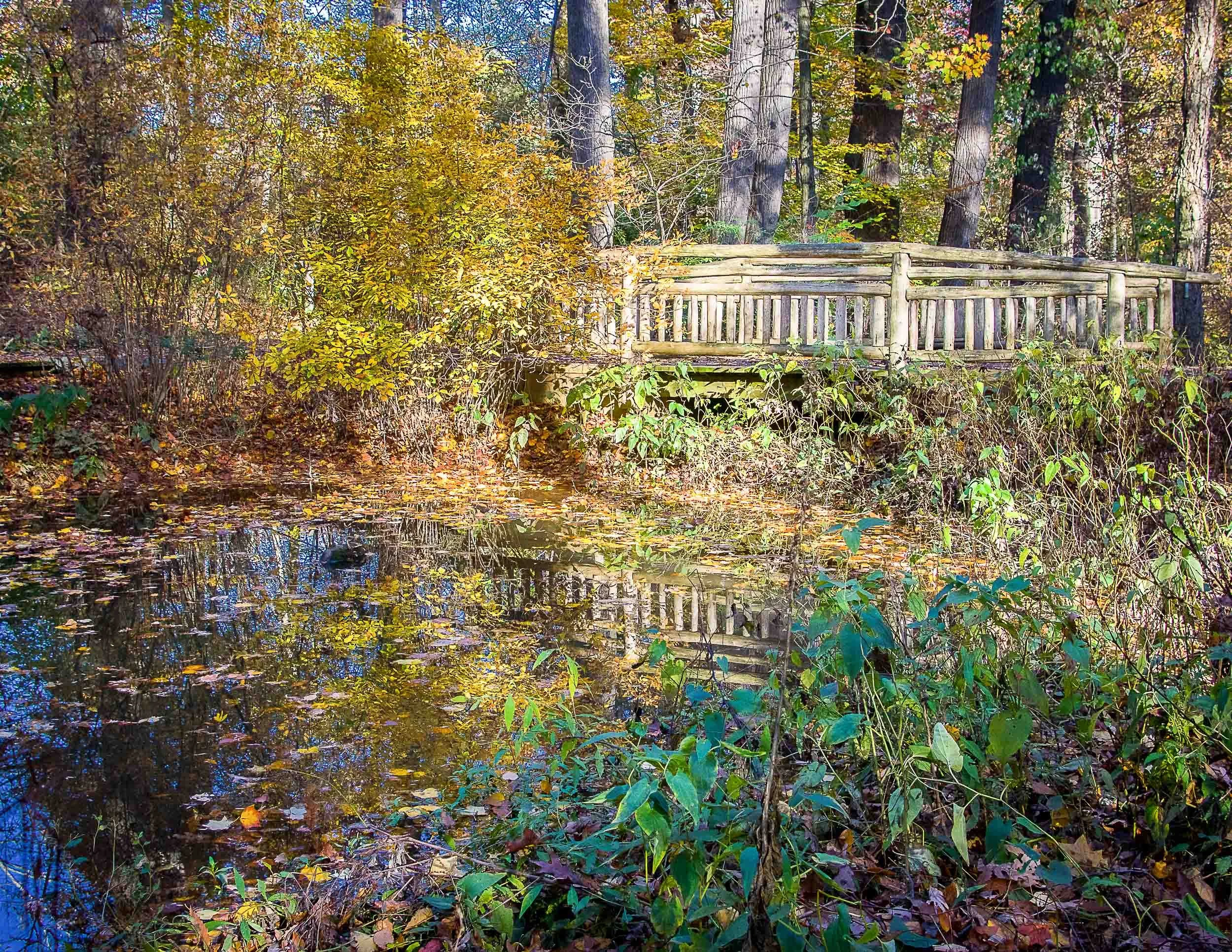 85 Park Bridge Fall II.jpg