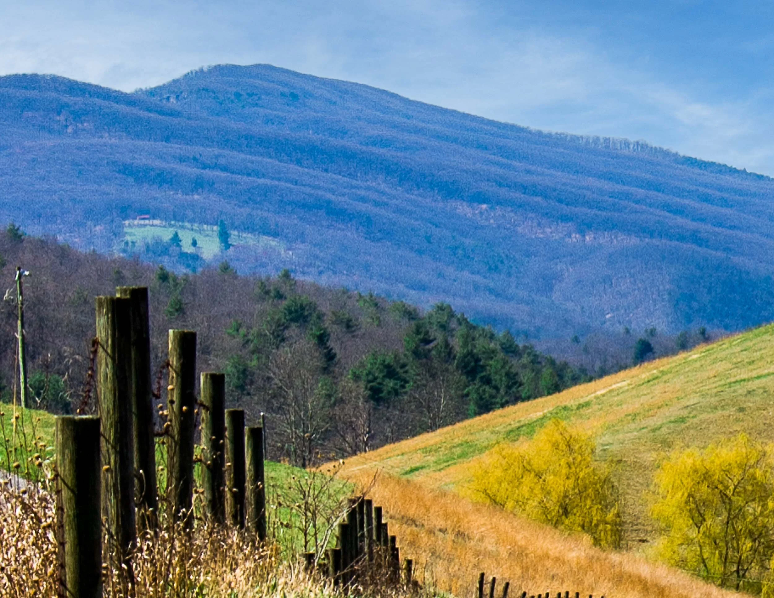 168 Parker Fence III.jpg