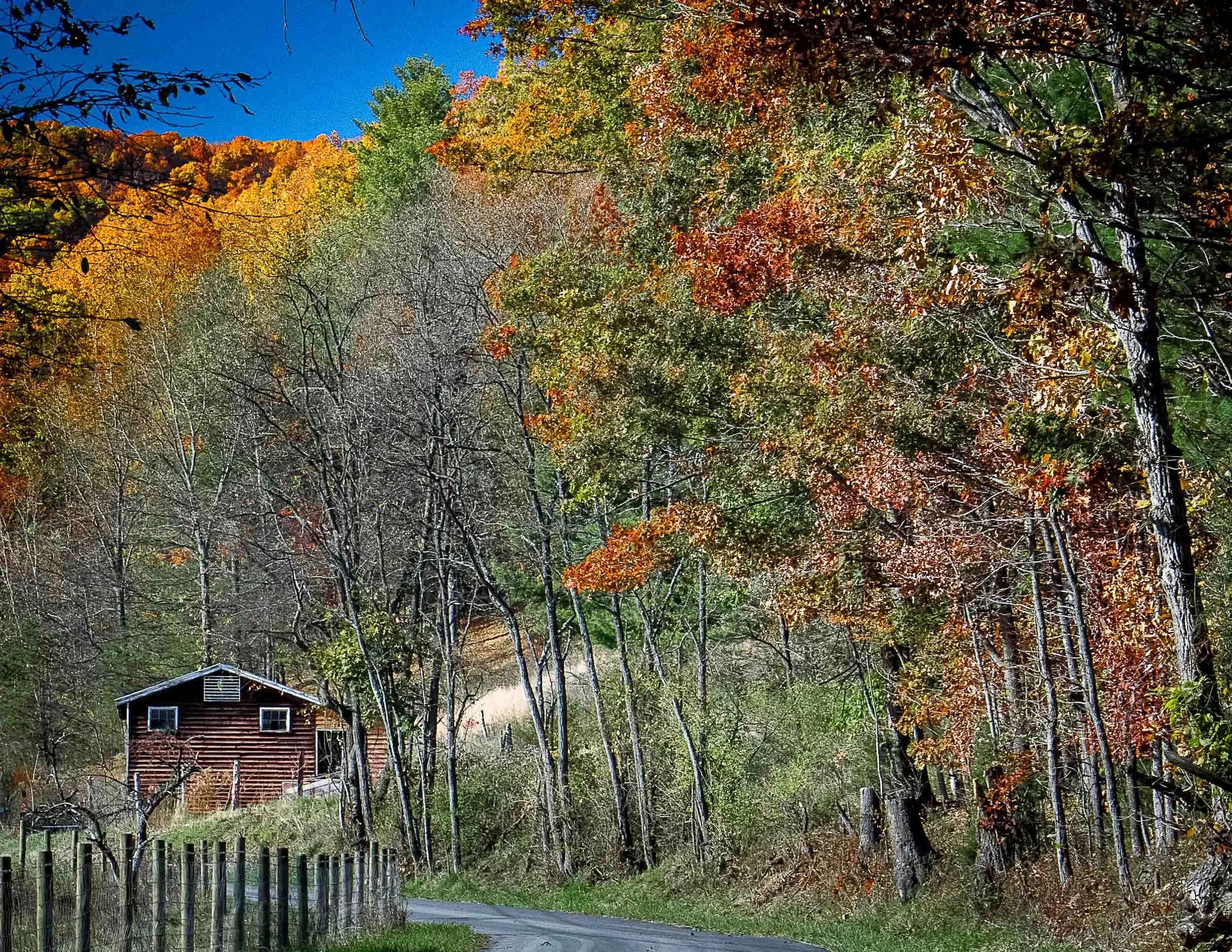 178 Fall Country Lane.jpg