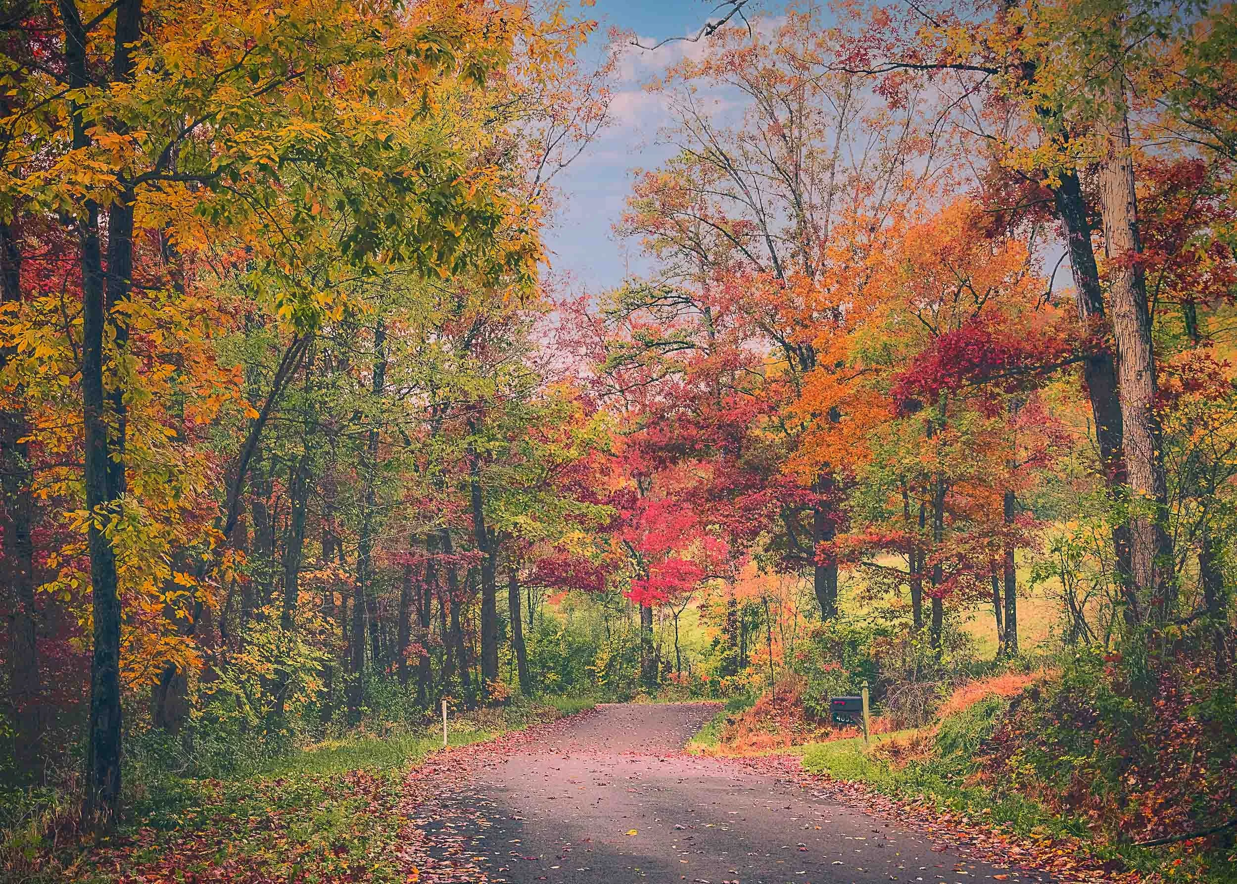 Autumn brings wonderful color to the back roads of the Lost River Valley in Hardy County, WV.