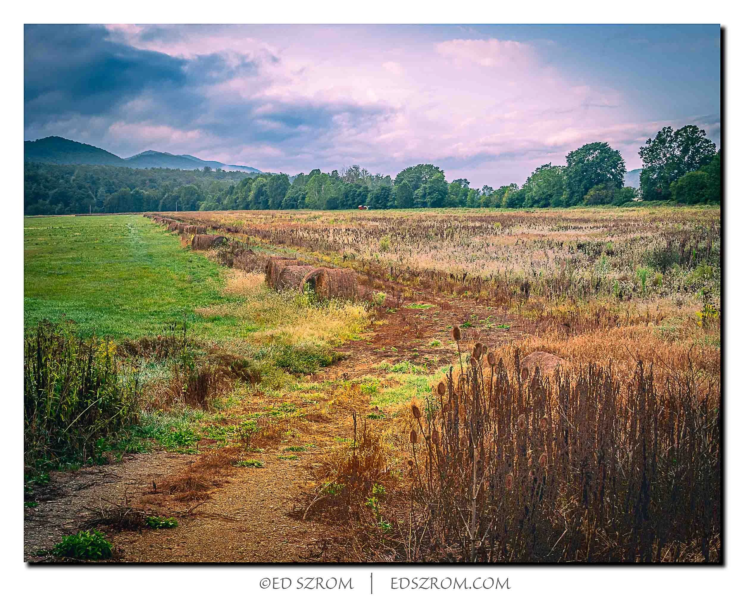 180 After the Harvest-Edit.jpg