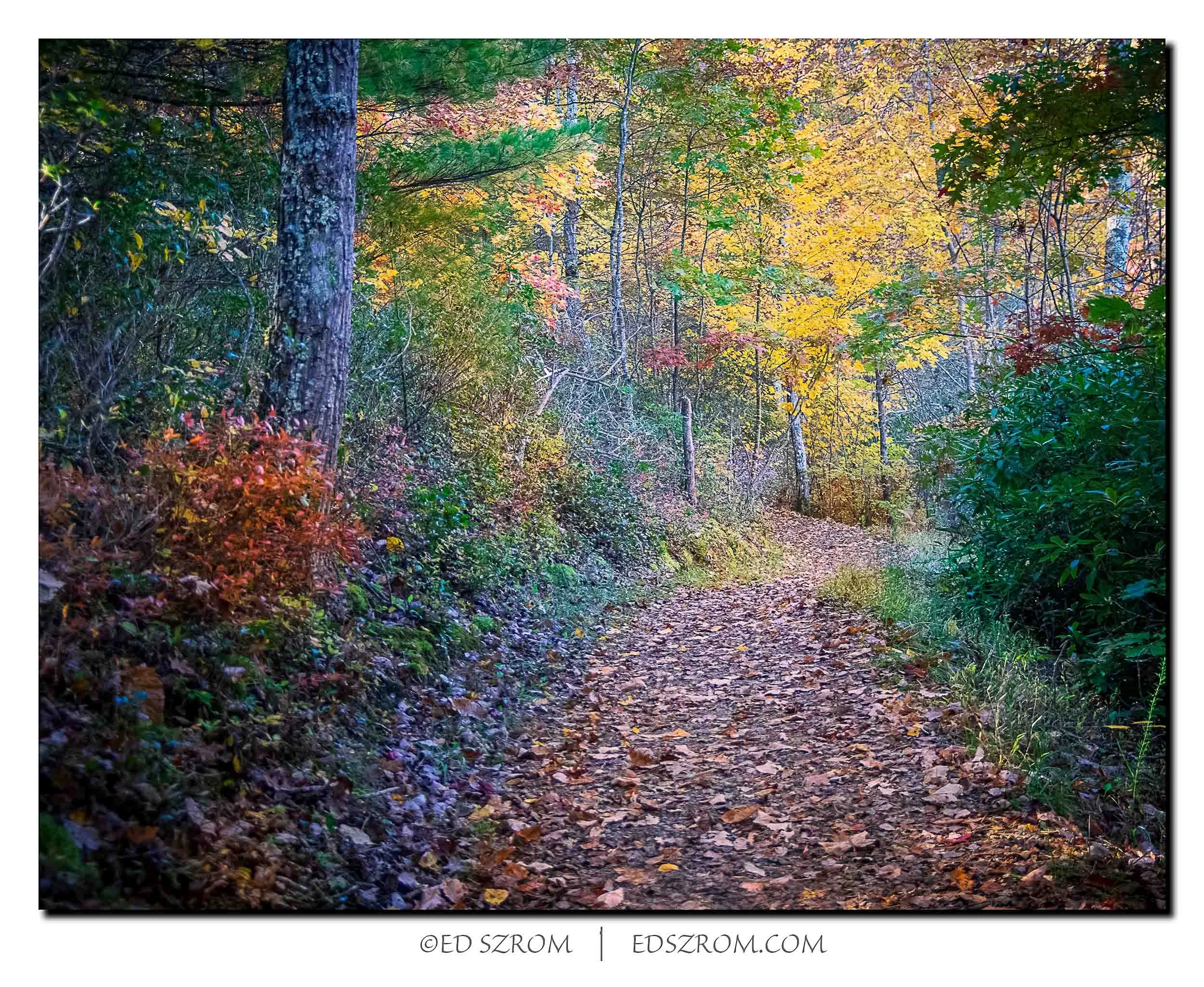 174 Trout Pond Trail-Edit.jpg