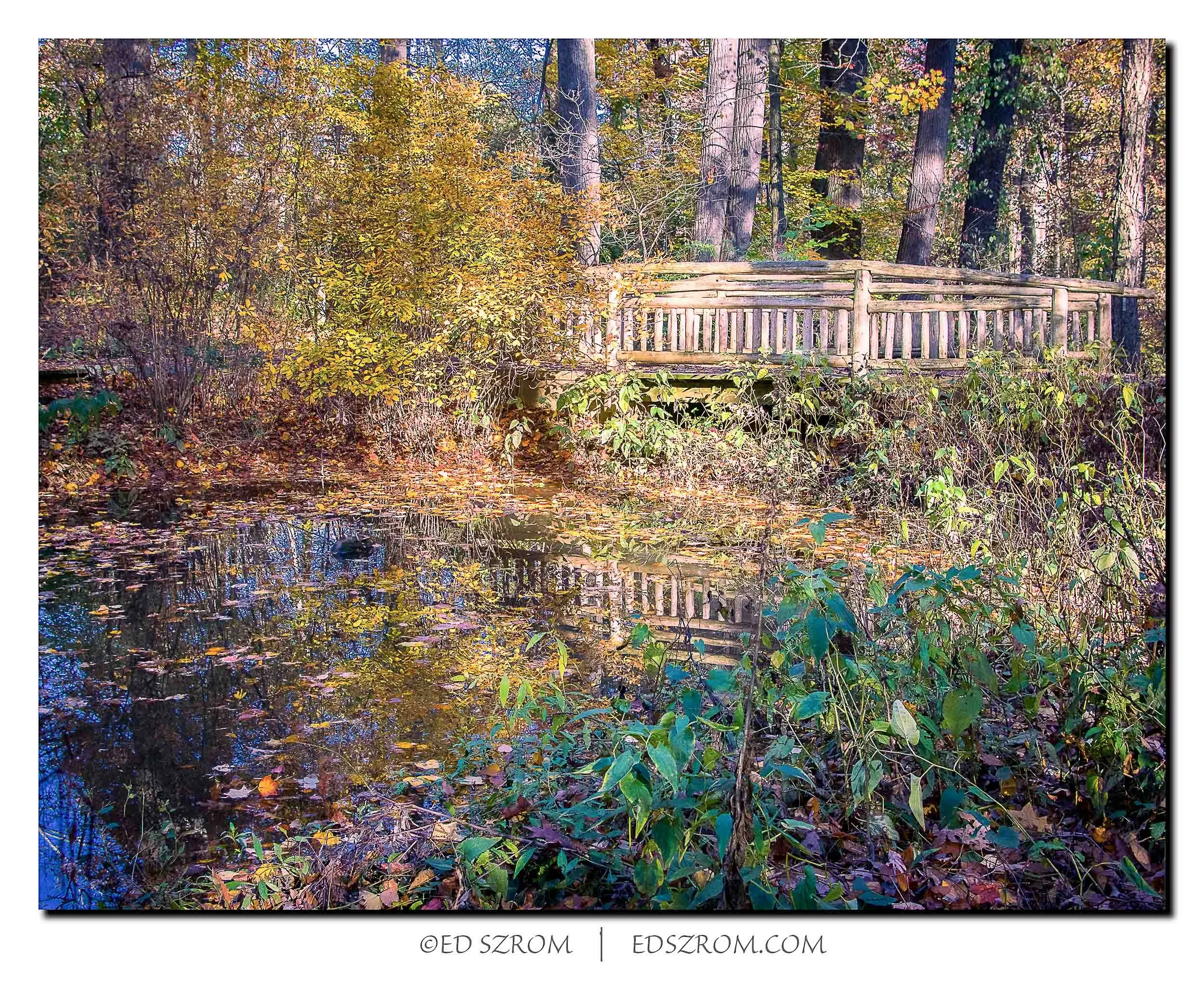 85 Park Bridge Fall II-Edit.jpg