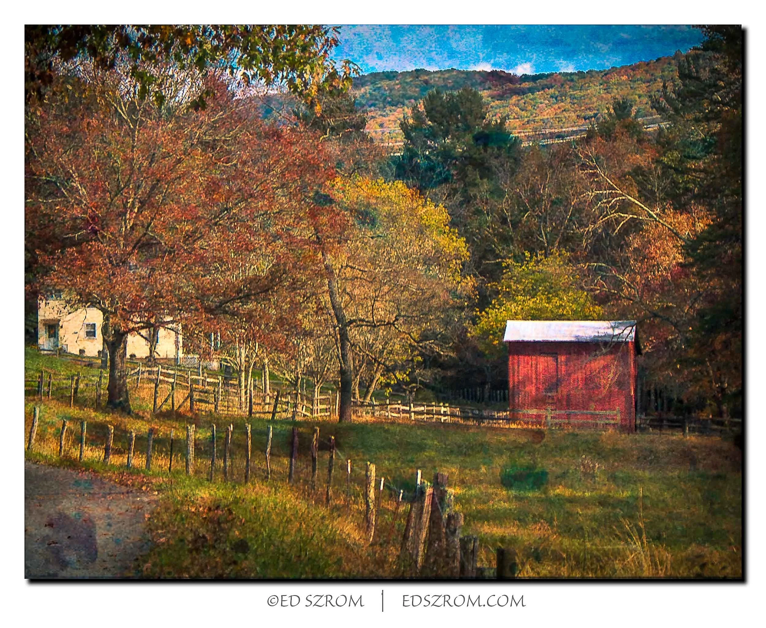 119 Country Lane Autumn II-Edit.jpg