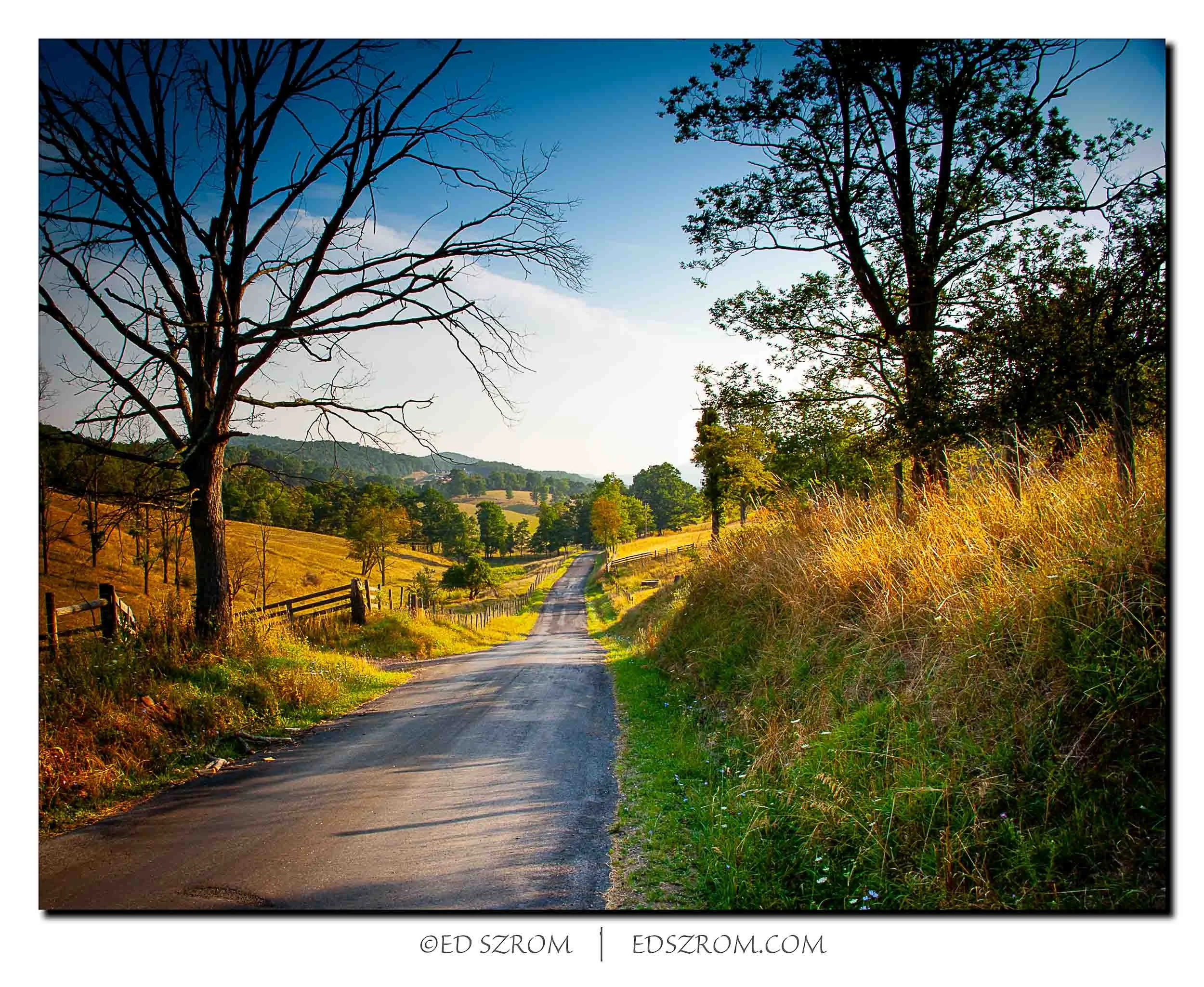 114 Autumn Road-Edit.jpg