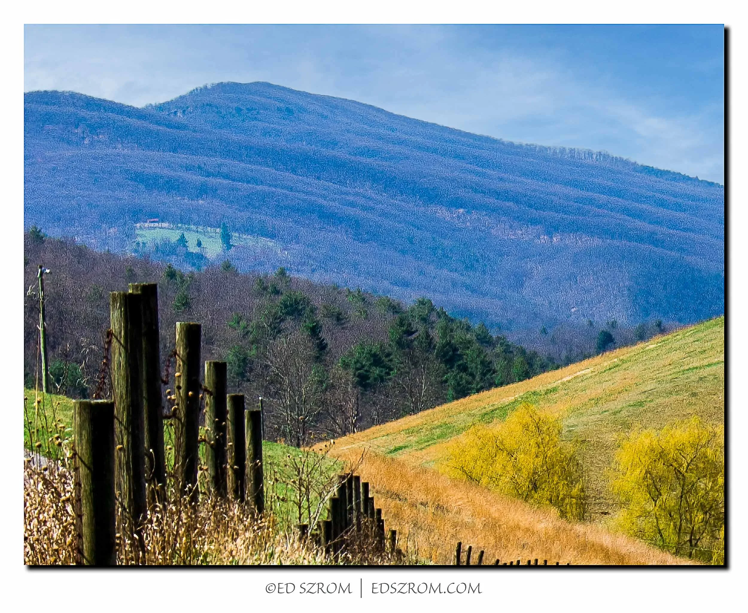 168 Parker Fence III-Edit.jpg