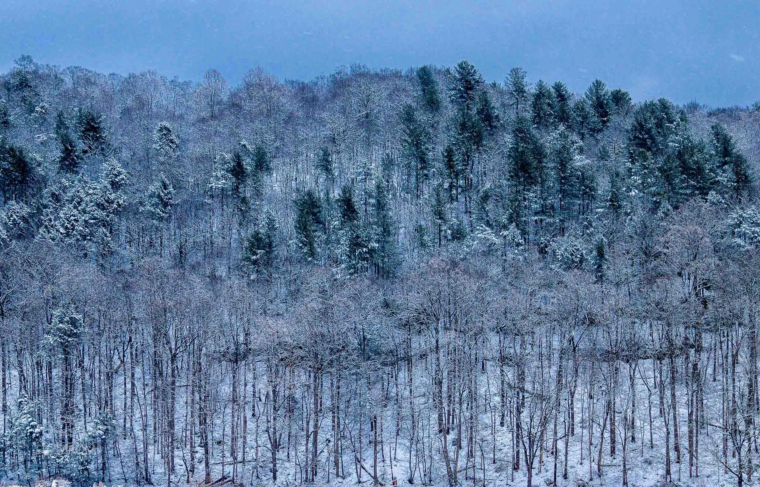 170 Winter Hillside-Edit.jpg