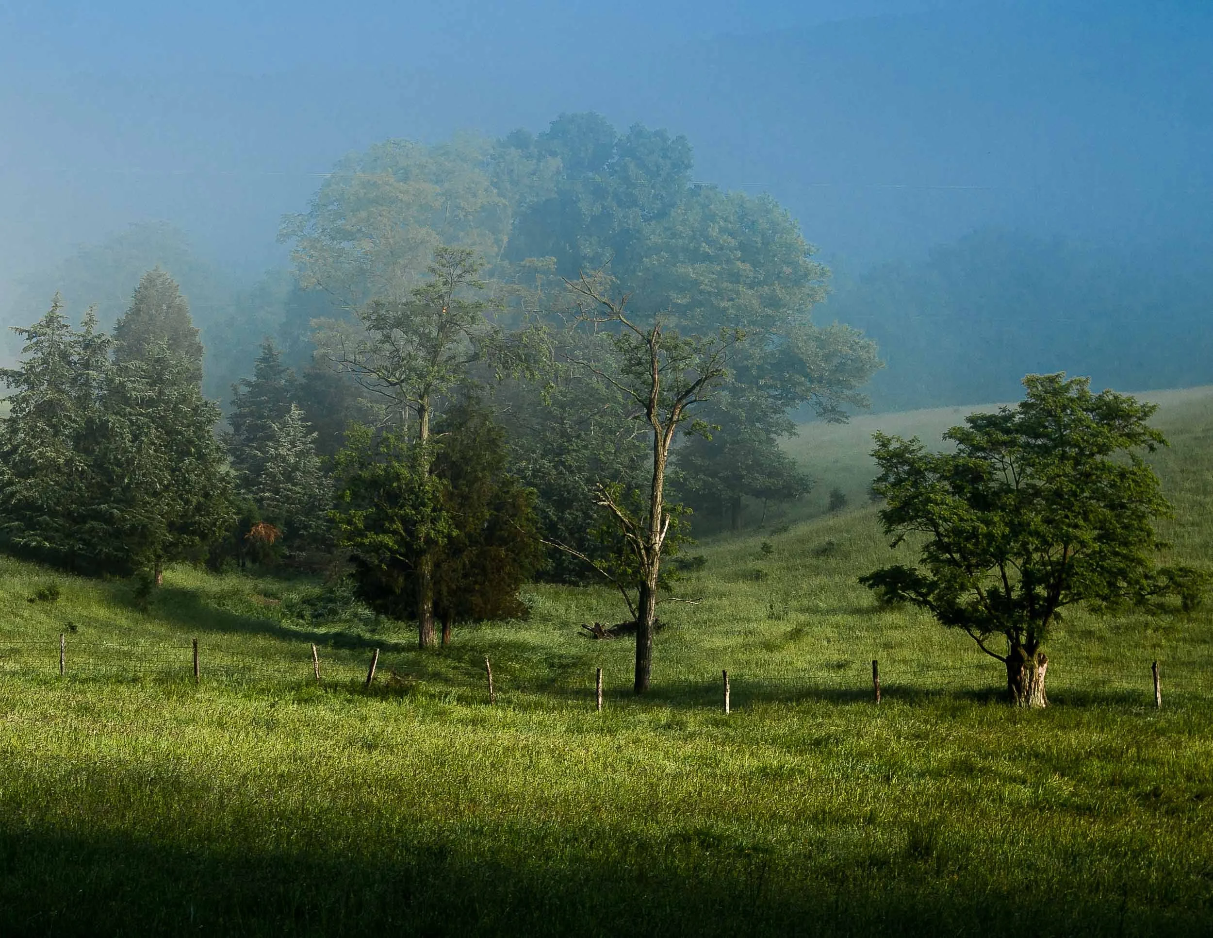 67 Blue Spring in WV.jpg