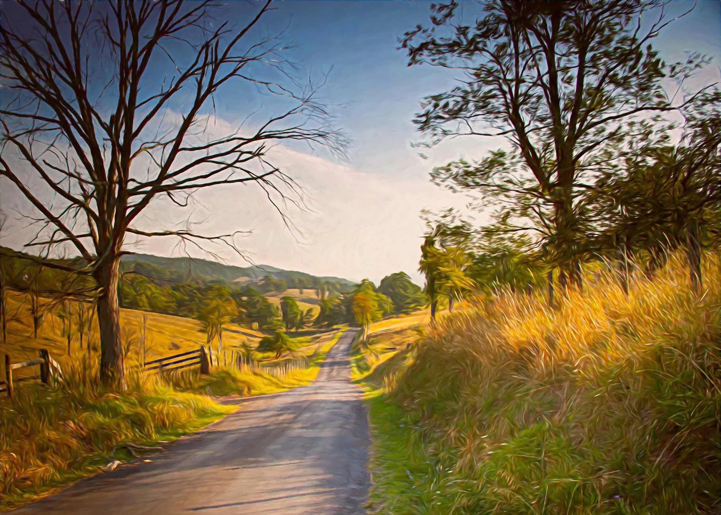 114 Autumn Road in the foot hills of Hardy County WV.jpg