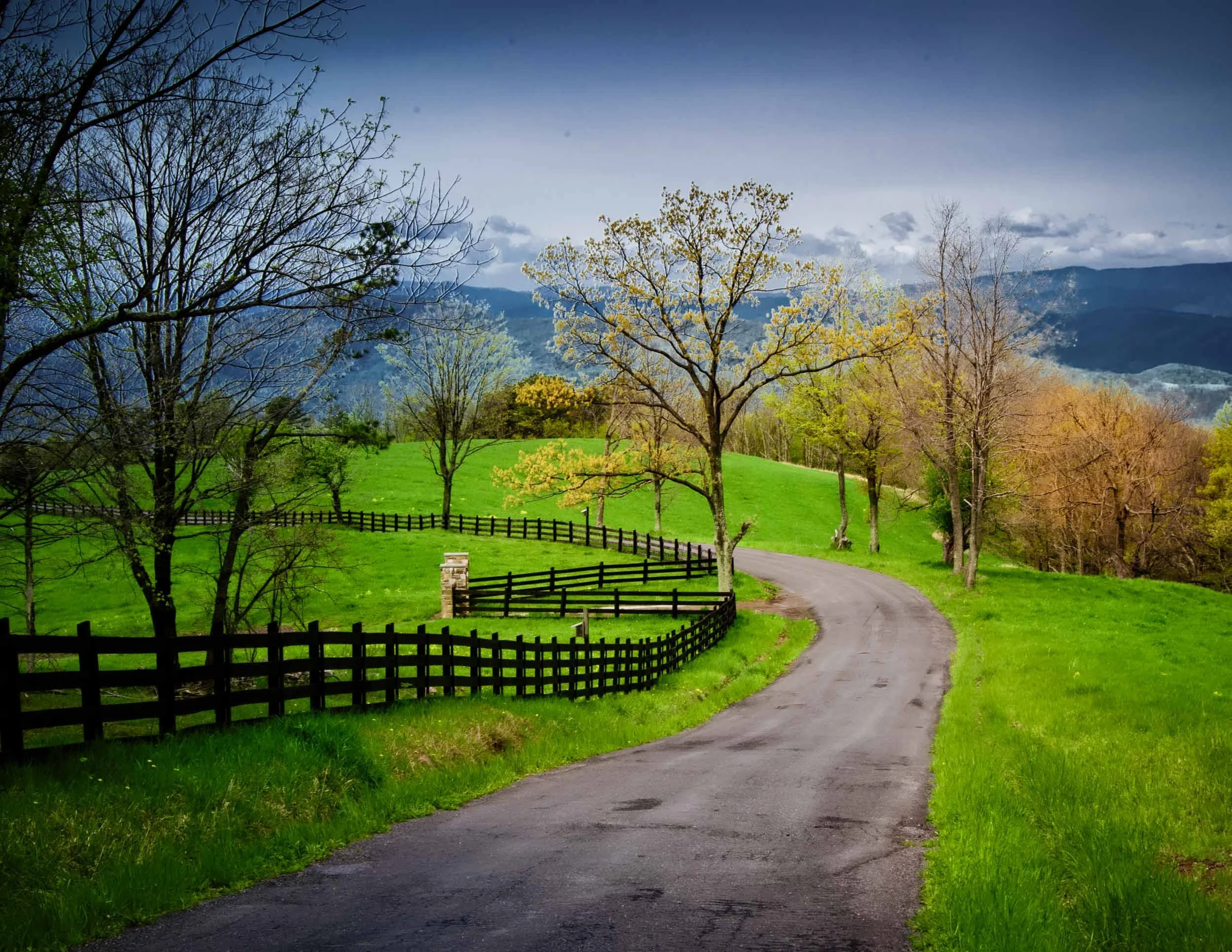 167 Spring Mountaain Lane Lost River WV.jpg