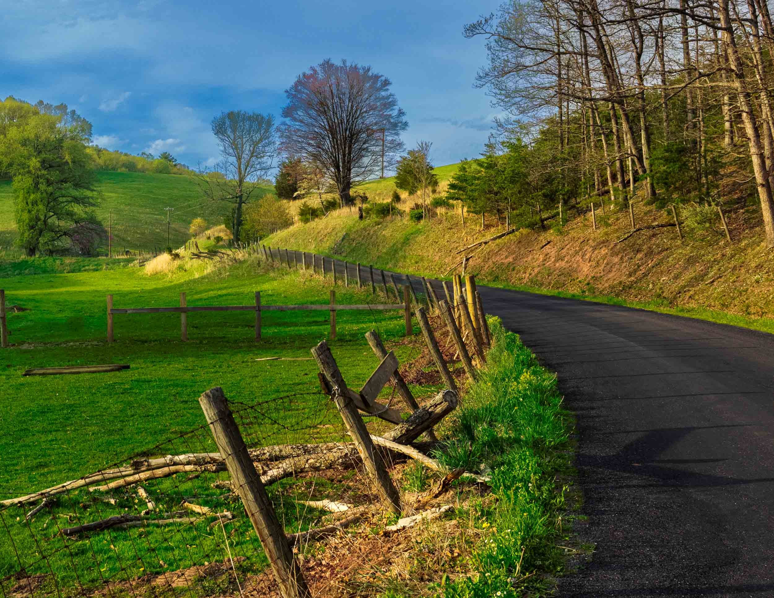 191 Spring at the Bend in the Lane-Edit.jpg