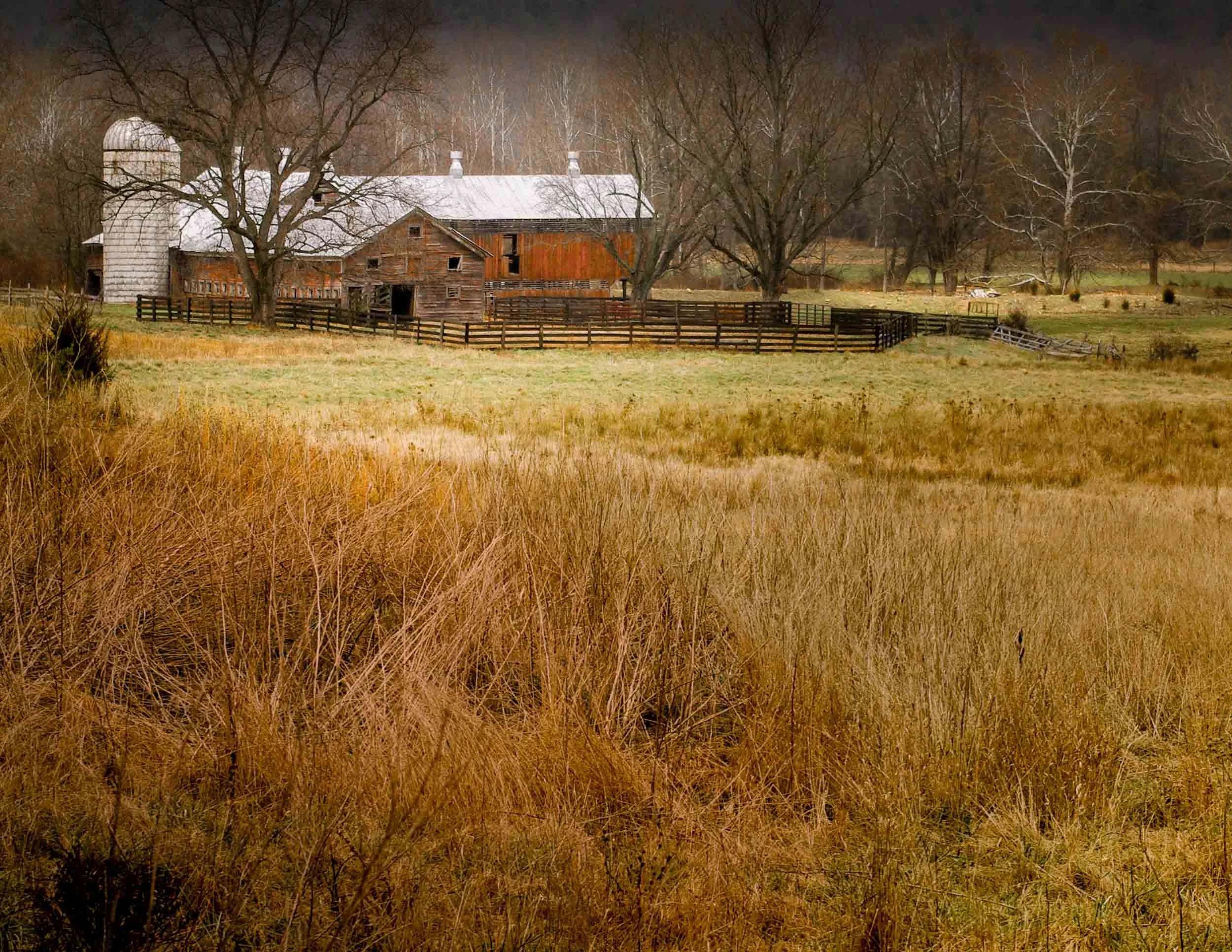 147 Distant Fall Barns.jpg